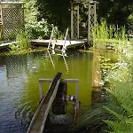 & Steinwender 4*